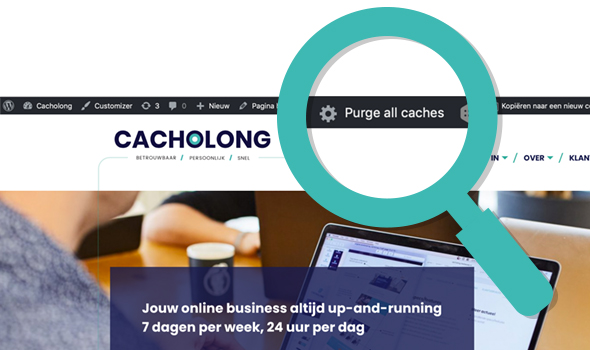 cacholong Wordpress optimaliseren plugin Purge all caches